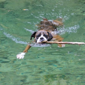 Doing what he does best