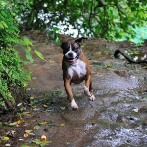 Coming through