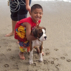 the_beach_zapata