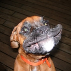 Bigler Smiling