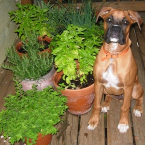 Bigler 4 1/2 months