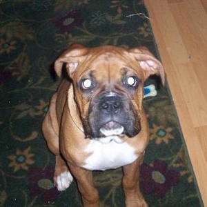 Our Lady Lexi