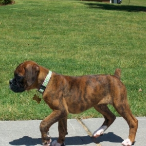 Taking a Walk