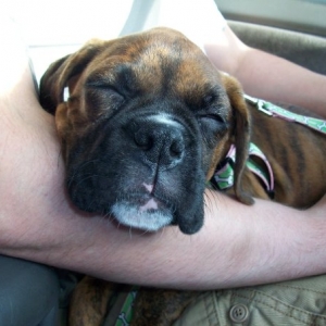 passed out