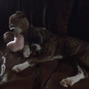 Star sleeping with her teddy