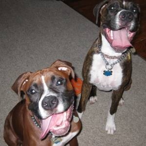 Karma & Aries