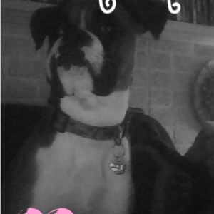 edited picture of my Bugg