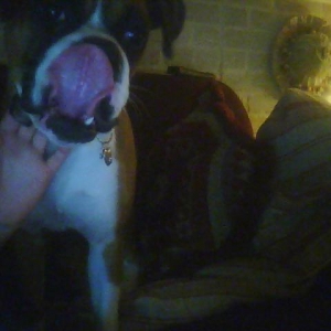 Rockie stickin his tongue at the camera lol