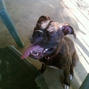 bailey31