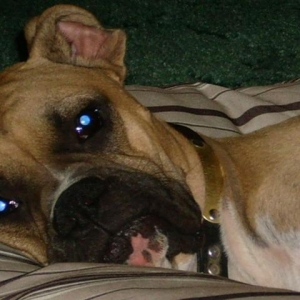 How cute is this face?