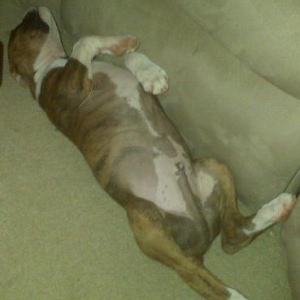 Sarge's fav nappin position