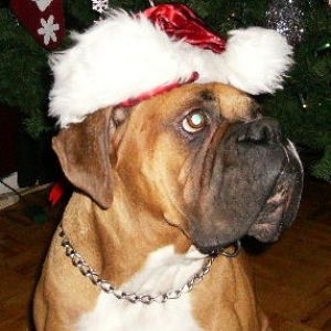 Askum Christmas 09