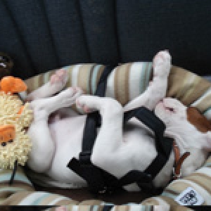 Snoozin' in the car seat...