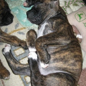 sleeping10
