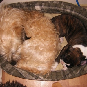 Baby Ema with her brother