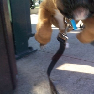 AND POUNCE.....