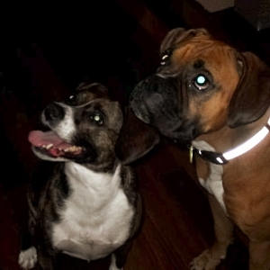 Fredo and Ruby
