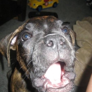 Mad at Camera