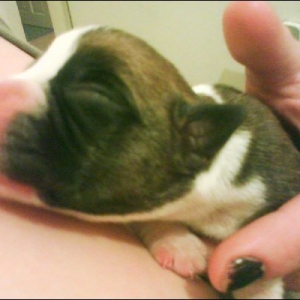 So cute