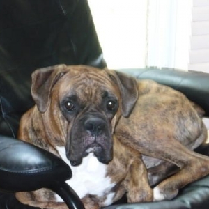 Bailey