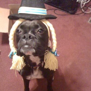 pre halloween costume