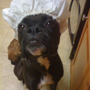 shower cap
