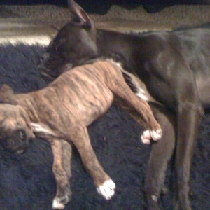 sleeping