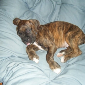 sleepin like a baby