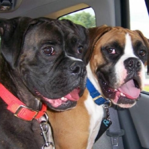 Going for a ride