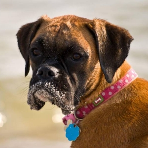 sandy face
