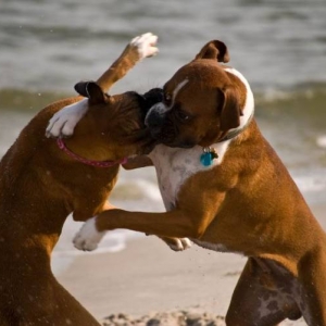 doin what they do...