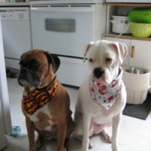 Chester and Lilly