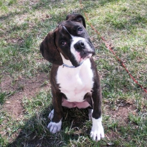 gus_profile