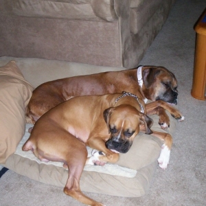 Meisha and Gretakins