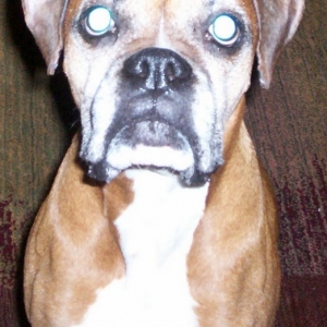 Silver Meisha Marie