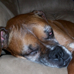 Meisha Marie nap time