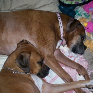 Meisha Marie and Gretakins