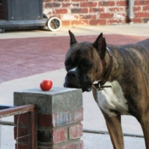 Buster8