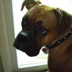 handsome boy