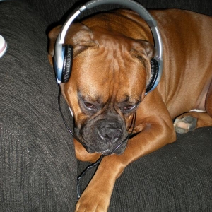 listening to some good music