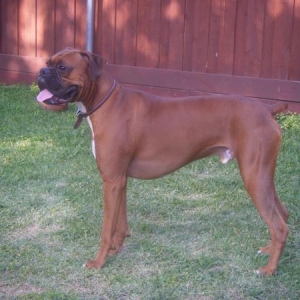 Chase when he was 1yrs. old