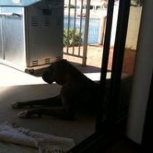 Lounging on the patio