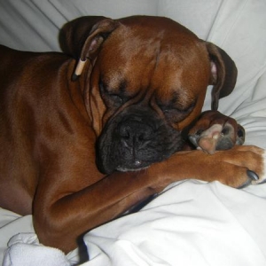Getting some rest....