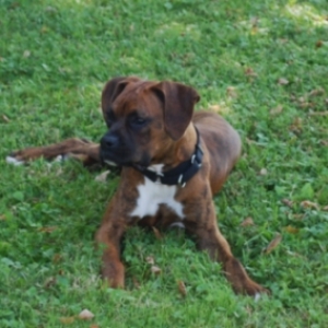 Axel taking it easy