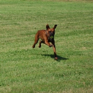 Axel at play