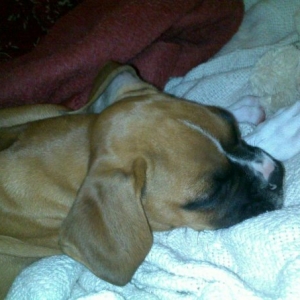 hurley3