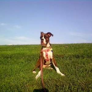 Roxy