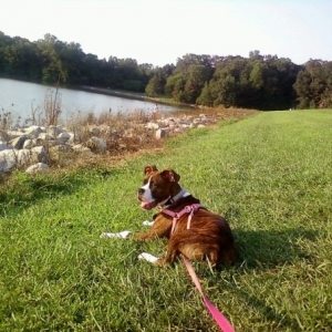 Roxy