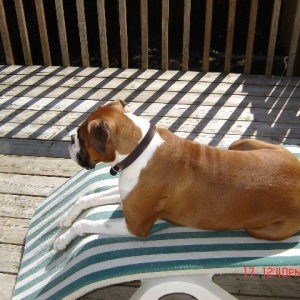 Sunning at the Cottage