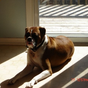 Sunning at home.
